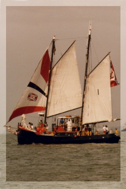 norfolk rebel